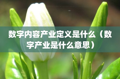 数字内容产业定义是什么（数字产业是什么意思）