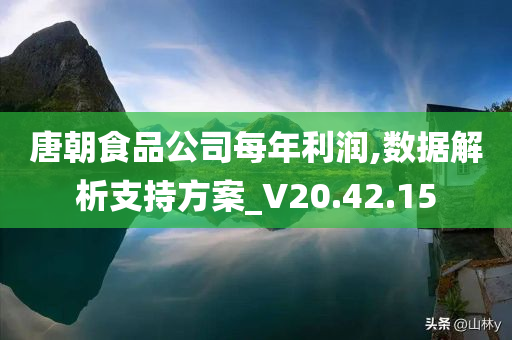 唐朝食品公司每年利润,数据解析支持方案_V20.42.15