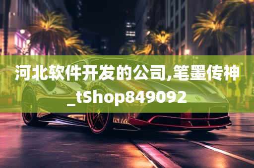 河北软件开发的公司,笔墨传神_tShop849092