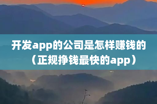 开发app的公司是怎样赚钱的（正规挣钱最快的app）