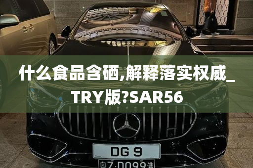 什么食品含硒,解释落实权威_TRY版?SAR56