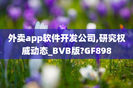 外卖app软件开发公司,研究权威动态_BVB版?GF898