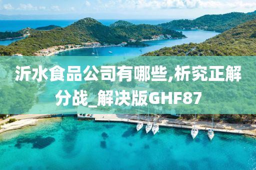 沂水食品公司有哪些,析究正解分战_解决版GHF87