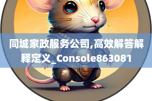 同城家政服务公司,高效解答解释定义_Console863081