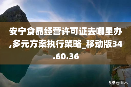 安宁食品经营许可证去哪里办,多元方案执行策略_移动版34.60.36