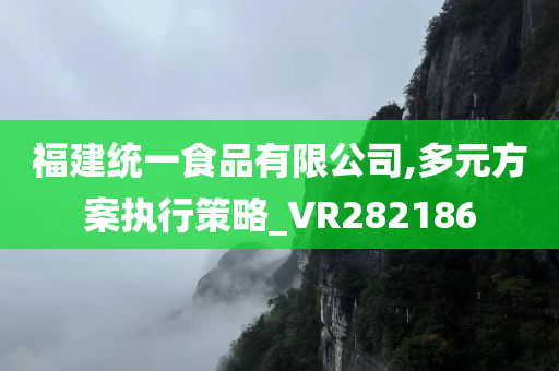 福建统一食品有限公司,多元方案执行策略_VR282186