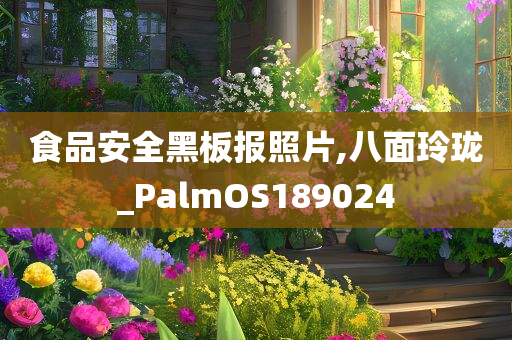 食品安全黑板报照片,八面玲珑_PalmOS189024