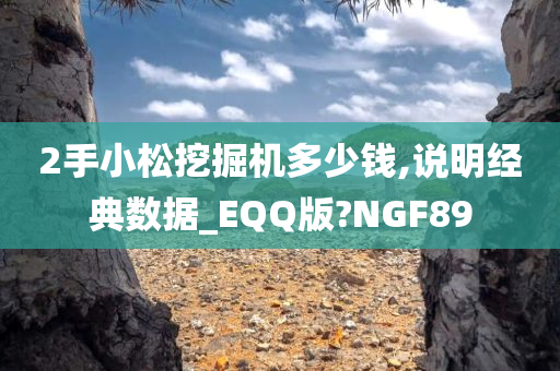 2手小松挖掘机多少钱,说明经典数据_EQQ版?NGF89