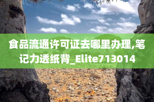 食品流通许可证去哪里办理,笔记力透纸背_Elite713014