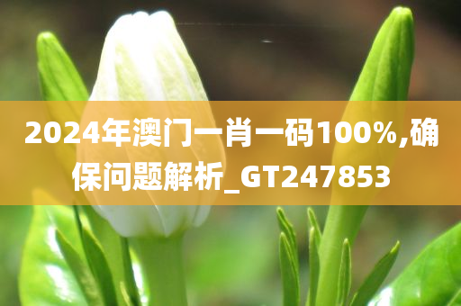 2024年澳门一肖一码100%,确保问题解析_GT247853