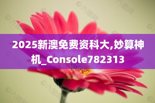 2025新澳免费资科大,妙算神机_Console782313