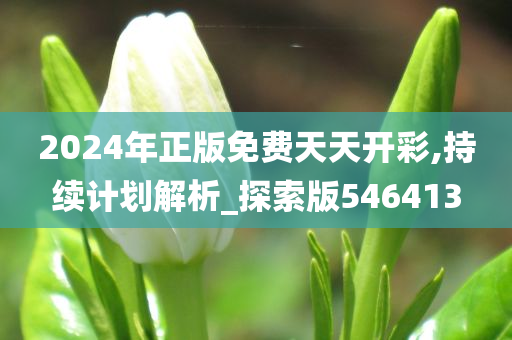 2024年正版免费天天开彩,持续计划解析_探索版546413