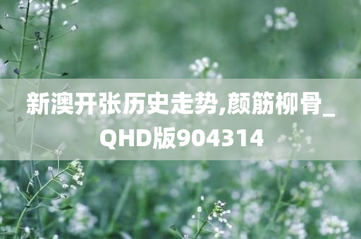 新澳开张历史走势,颜筋柳骨_QHD版904314