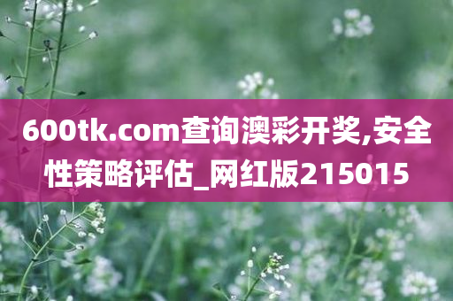 600tk.com查询澳彩开奖,安全性策略评估_网红版215015