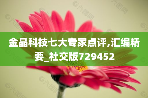 金晶科技七大专家点评,汇编精要_社交版729452