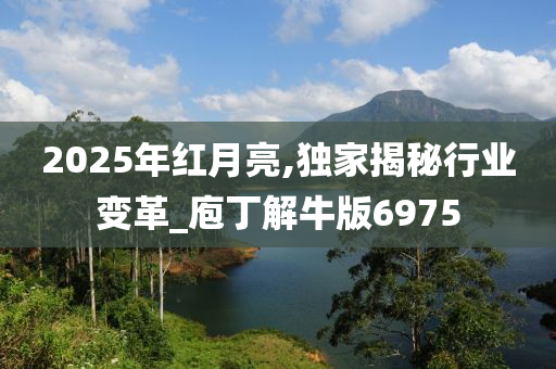 2025年红月亮,独家揭秘行业变革_庖丁解牛版6975