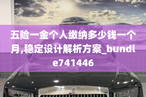 五险一金个人缴纳多少钱一个月,稳定设计解析方案_bundle741446