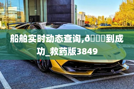 船舶实时动态查询,🐎到成功_救药版3849