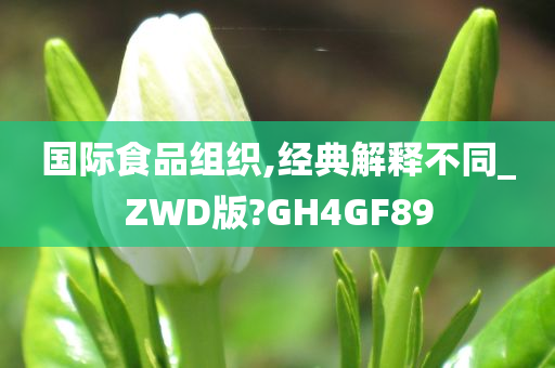 国际食品组织,经典解释不同_ZWD版?GH4GF89