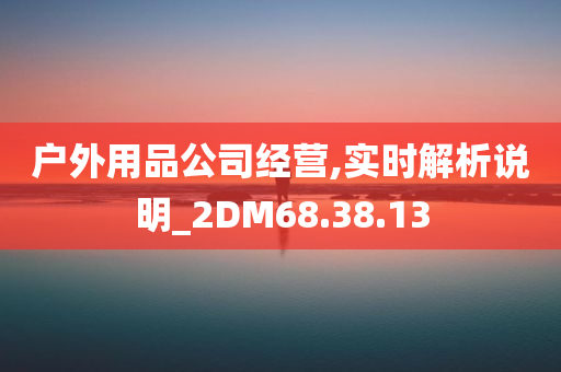 户外用品公司经营,实时解析说明_2DM68.38.13