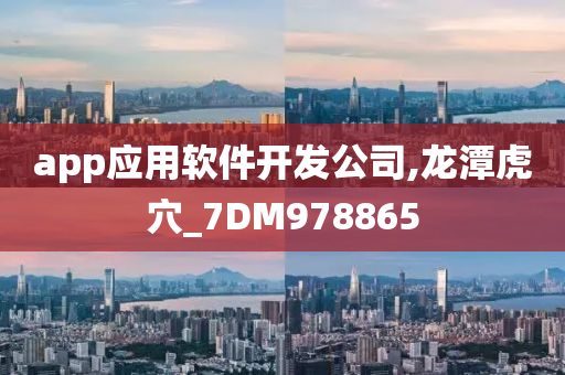 app应用软件开发公司,龙潭虎穴_7DM978865