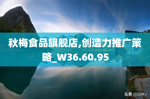 秋梅食品旗舰店,创造力推广策略_W36.60.95