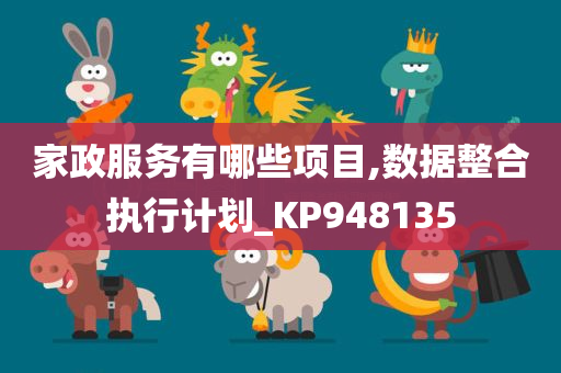 家政服务有哪些项目,数据整合执行计划_KP948135