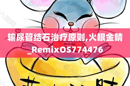 输尿管结石治疗原则,火眼金睛_RemixOS774476