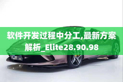 软件开发过程中分工,最新方案解析_Elite28.90.98