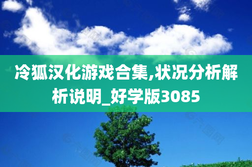 冷狐汉化游戏合集,状况分析解析说明_好学版3085