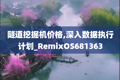 隧道挖掘机价格,深入数据执行计划_RemixOS681363