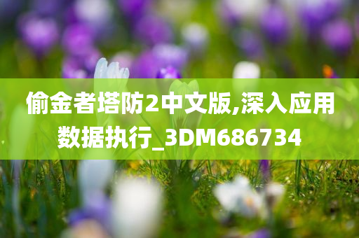 偷金者塔防2中文版,深入应用数据执行_3DM686734