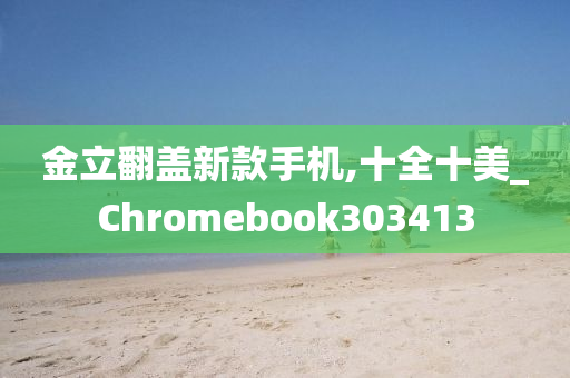 金立翻盖新款手机,十全十美_Chromebook303413