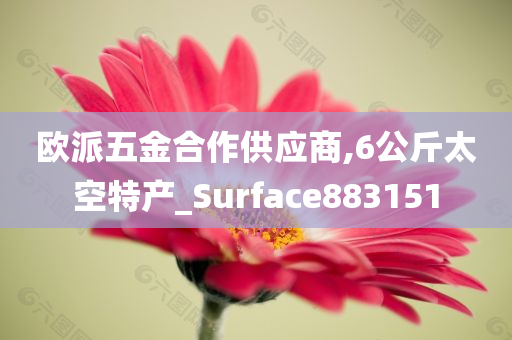 欧派五金合作供应商,6公斤太空特产_Surface883151