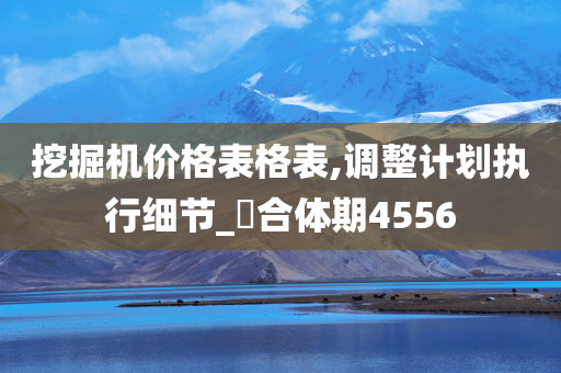 挖掘机价格表格表,调整计划执行细节_‌合体期4556