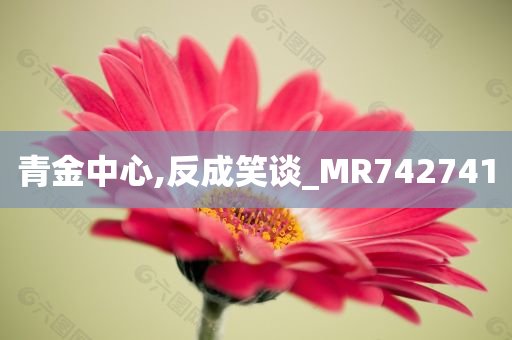 青金中心,反成笑谈_MR742741