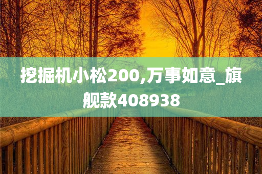 挖掘机小松200,万事如意_旗舰款408938