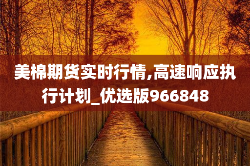 美棉期货实时行情,高速响应执行计划_优选版966848