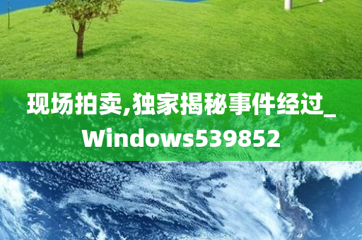 现场拍卖,独家揭秘事件经过_Windows539852