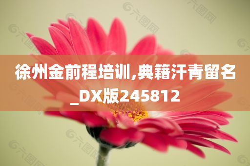 徐州金前程培训,典籍汗青留名_DX版245812