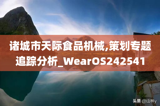 诸城市天际食品机械,策划专题追踪分析_WearOS242541