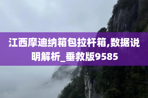 江西摩迪纳箱包拉杆箱,数据说明解析_垂救版9585