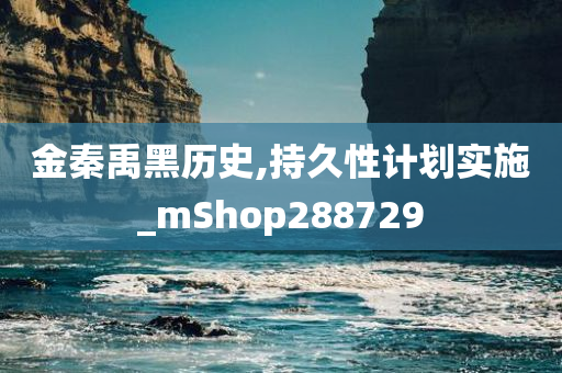 金秦禹黑历史,持久性计划实施_mShop288729