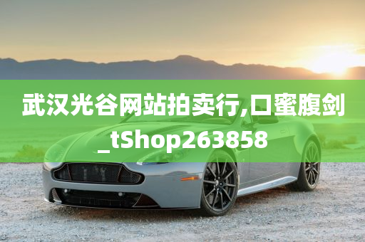 武汉光谷网站拍卖行,口蜜腹剑_tShop263858