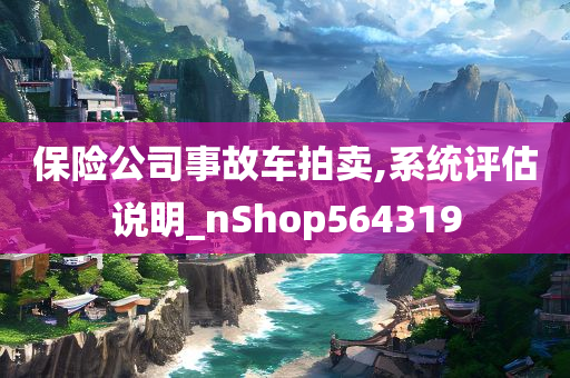 保险公司事故车拍卖,系统评估说明_nShop564319