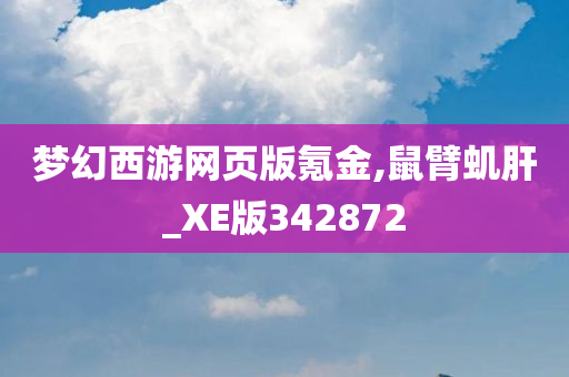 梦幻西游网页版氪金,鼠臂虮肝_XE版342872