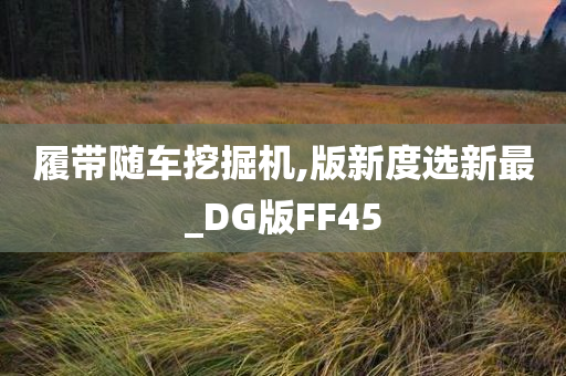 履带随车挖掘机,版新度选新最_DG版FF45