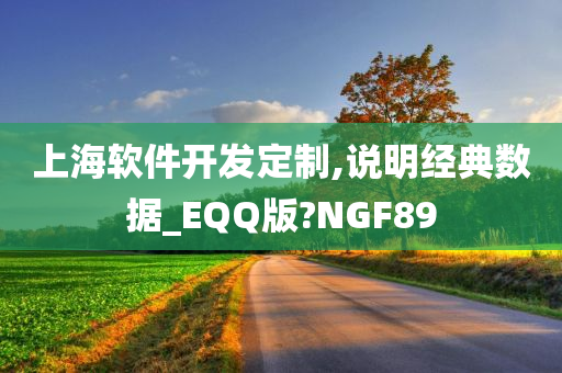 上海软件开发定制,说明经典数据_EQQ版?NGF89