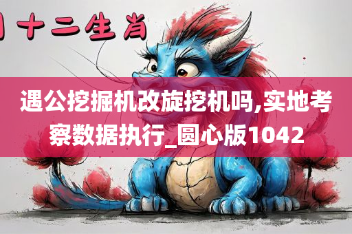 遇公挖掘机改旋挖机吗,实地考察数据执行_圆心版1042