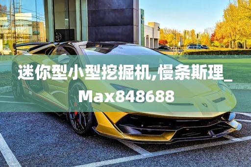 迷你型小型挖掘机,慢条斯理_Max848688